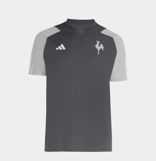 Camisa Galo Comissão 24/25 Masculina