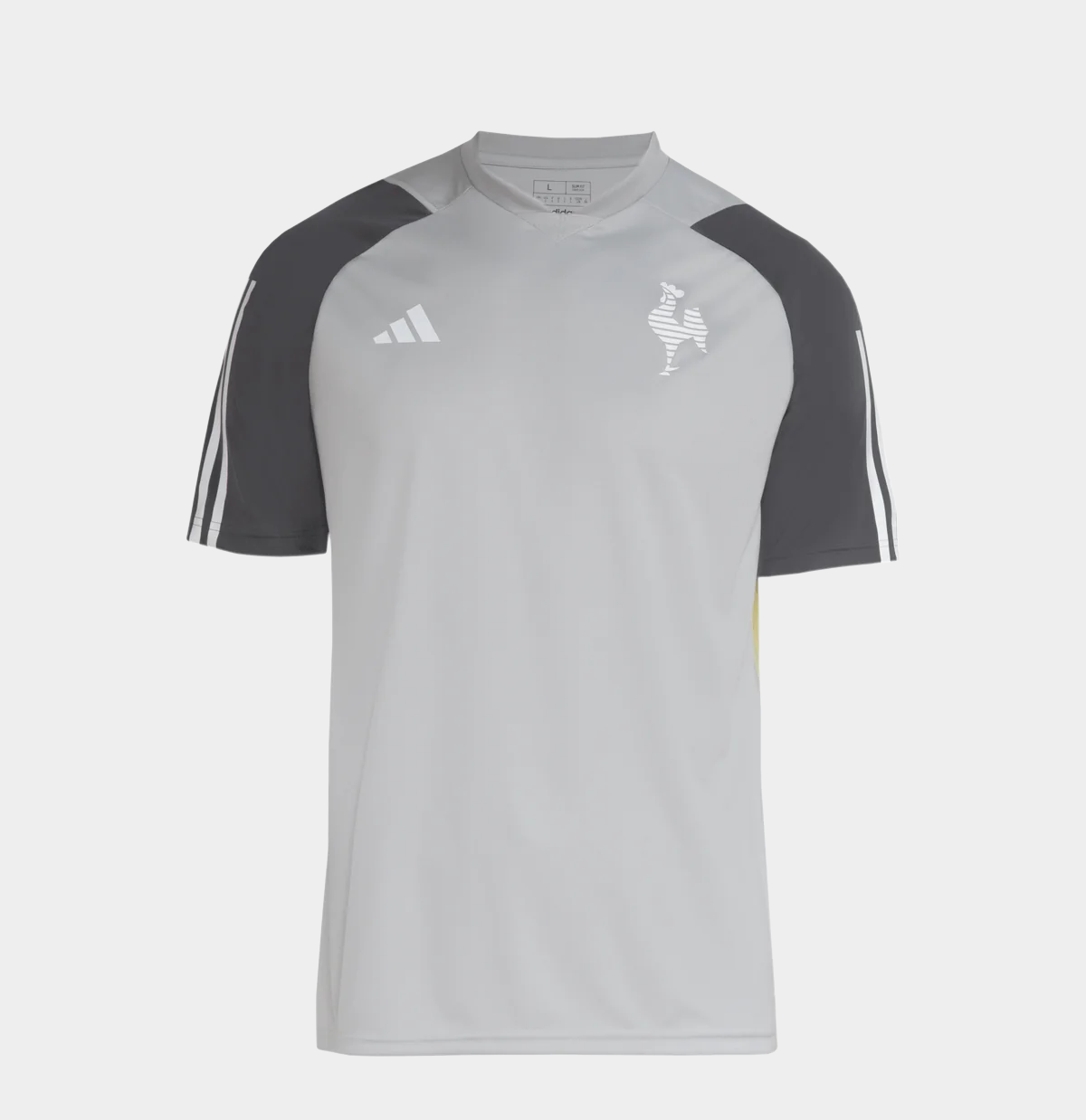 Camisa Galo Treino 24/25 Masculina