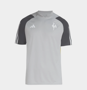 Camisa Galo Treino 24/25 Masculina