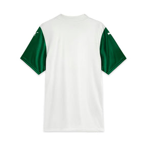 Camisa Verdão JOGADOR II 2025/26 Masculina