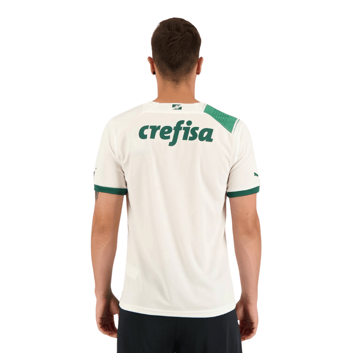 Camisa Verdão  II 23/24 Masculina