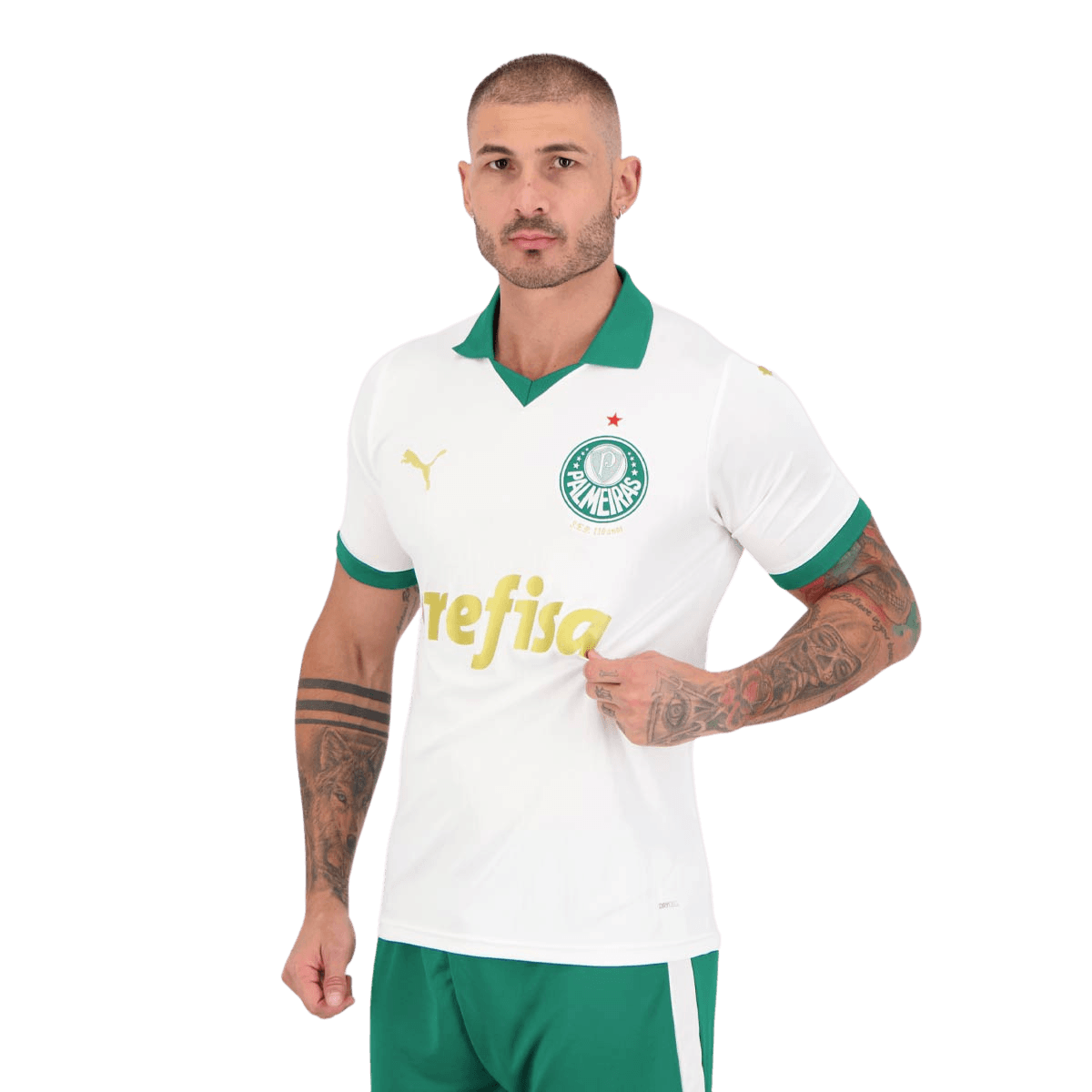 Camisa Verdão II 2024/25 Masculina