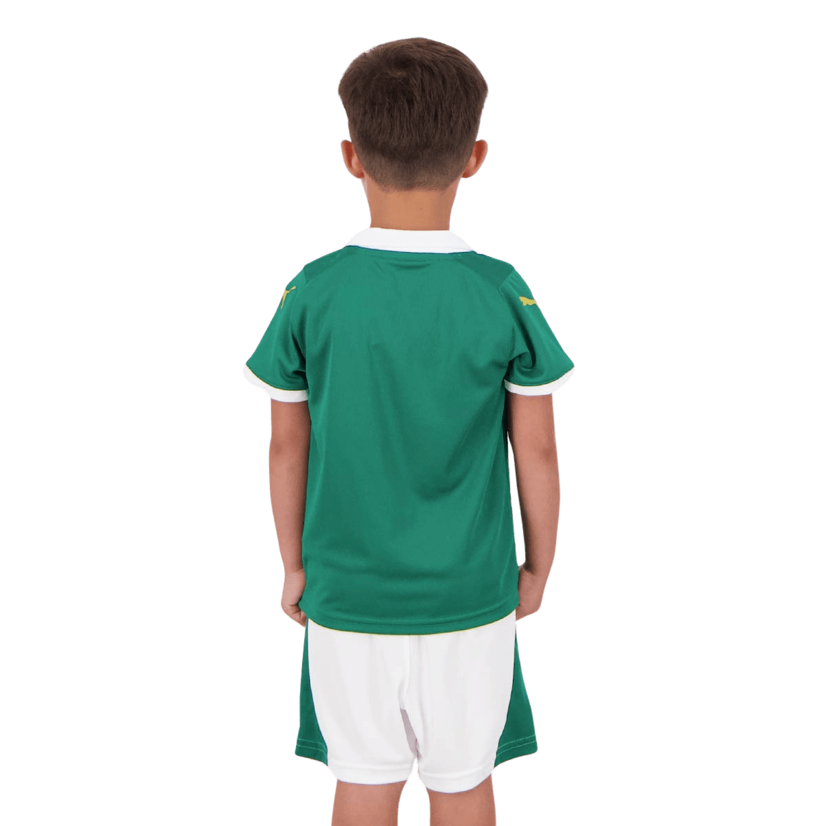 Conjunto Infantil Verdão I 2024/25