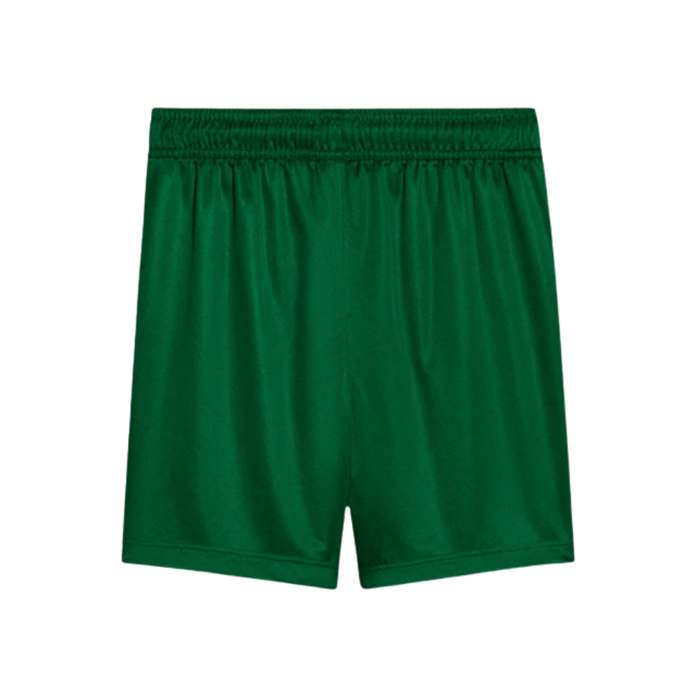 Short Verdão II 2025/26 Masculina