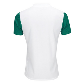 Camisa Verdão II 2025/26 Masculina